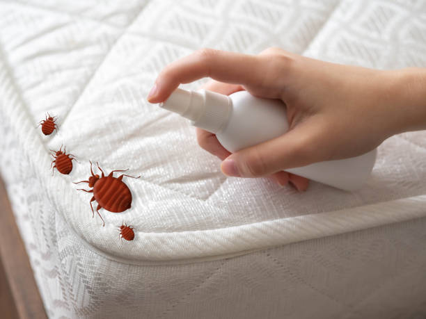 Best Pest Prevention Services  in West Wood, UT